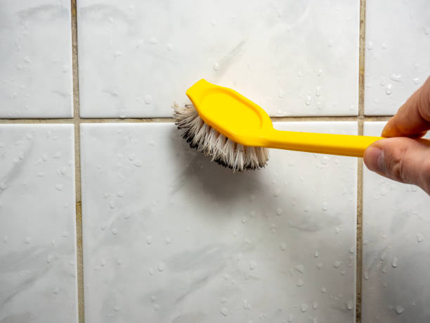 Best Mold Testing  in Newburg, WI
