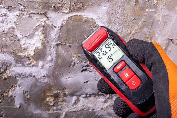 Best Mold Removal Near Me  in Newburg, WI