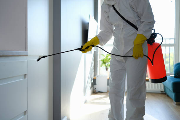 Water Damage Restoration in Newburg, WI