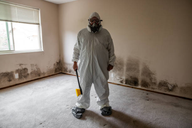Best Mold Cleaning Services  in Newburg, WI